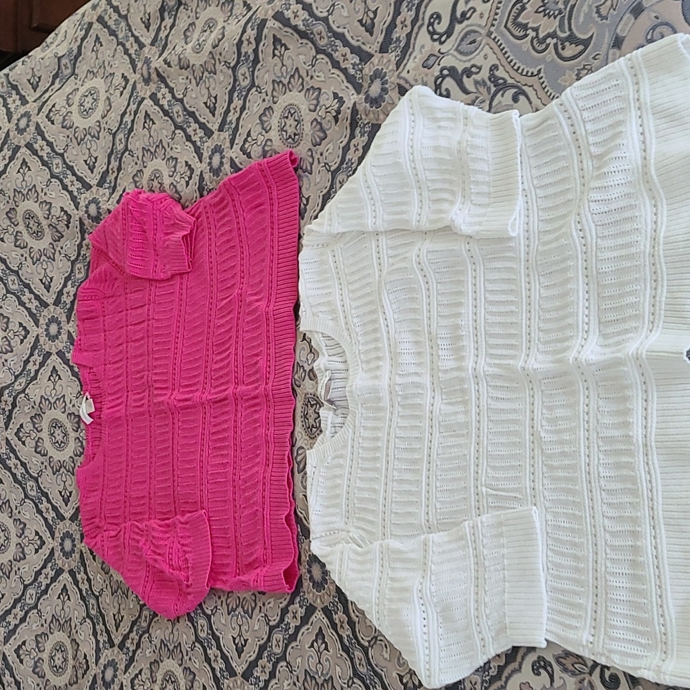 2 Gently Used Christopher & banks sweaters XL